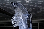 DSCN0370 * 768 x 1024 * (595KB)